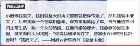 图片[2]-子比主题 – PC底部展示网易云热评