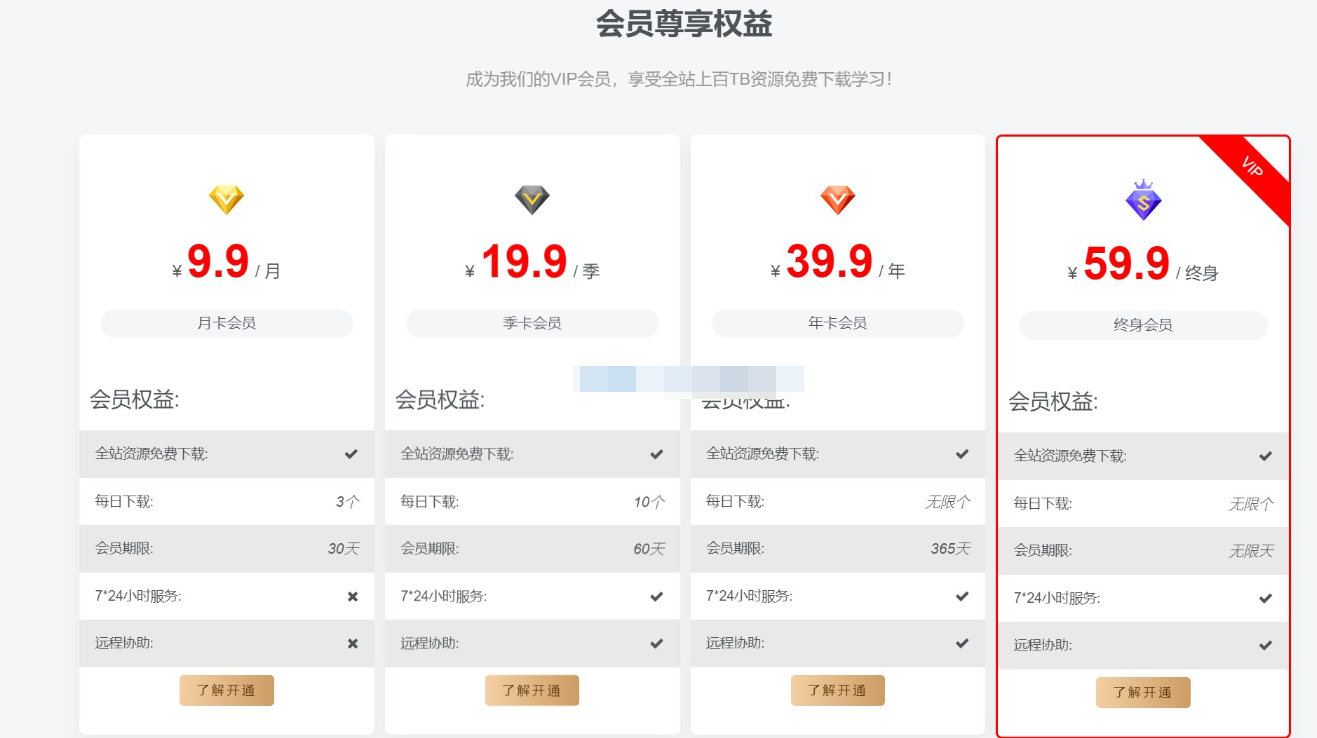 子比主题 – 首页VIP购买小工具(第一版)-星空知