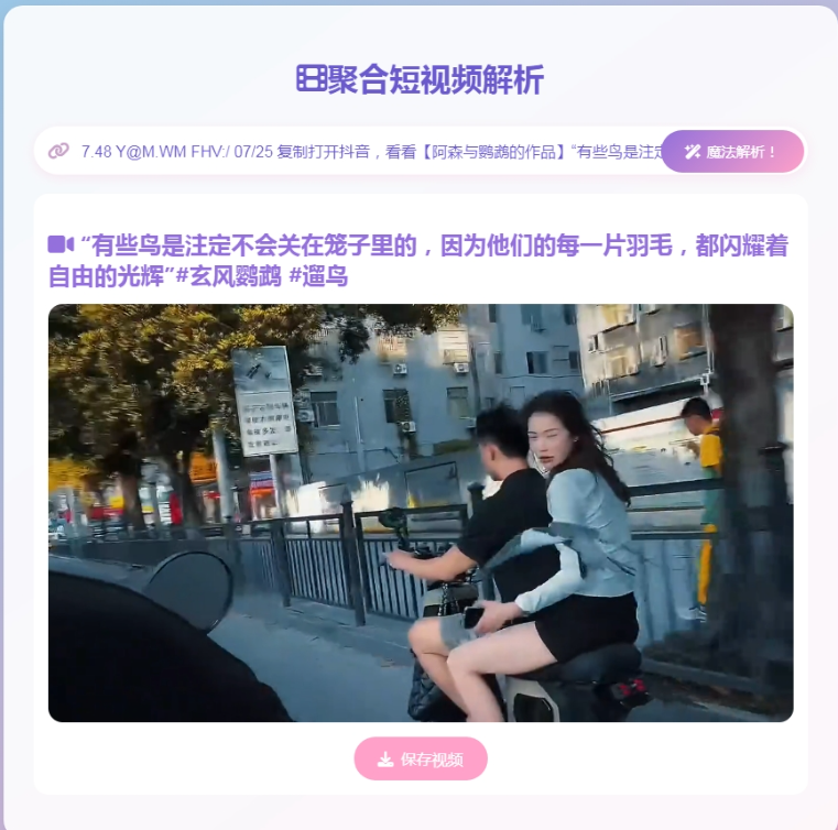 全新二次元聚合短视频解析去水印系统源码 自适应双端-星空知