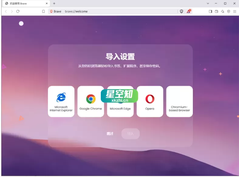 Brave Browser 快速私密网页浏览器 v1.80.122 绿色便携版