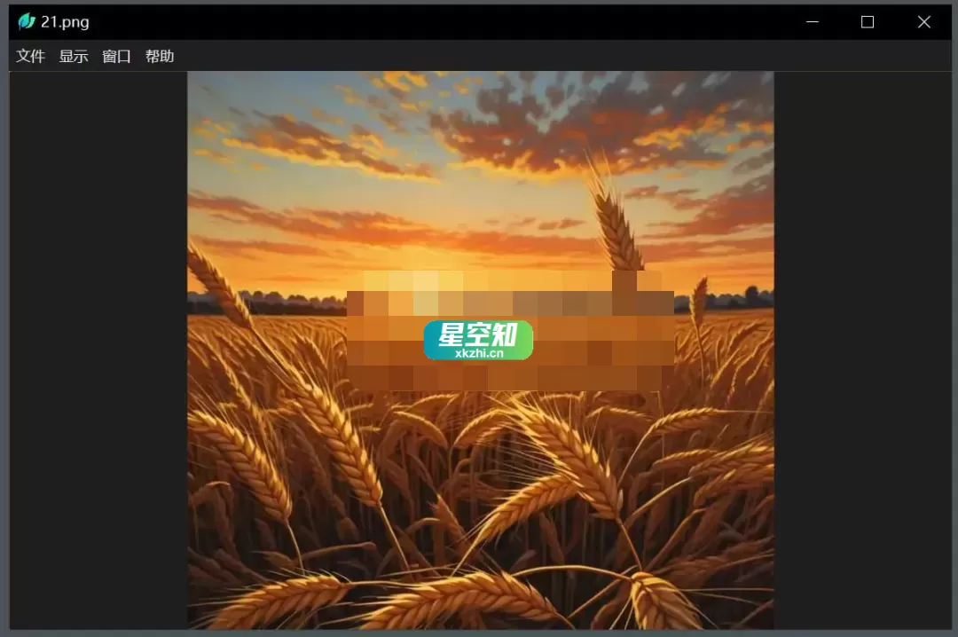 LeafView(图片查看器) v3.7.3 绿色版-星空知