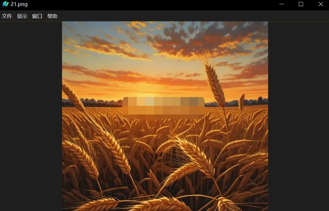 LeafView(图片查看器) v3.8.1 绿色版-星空知