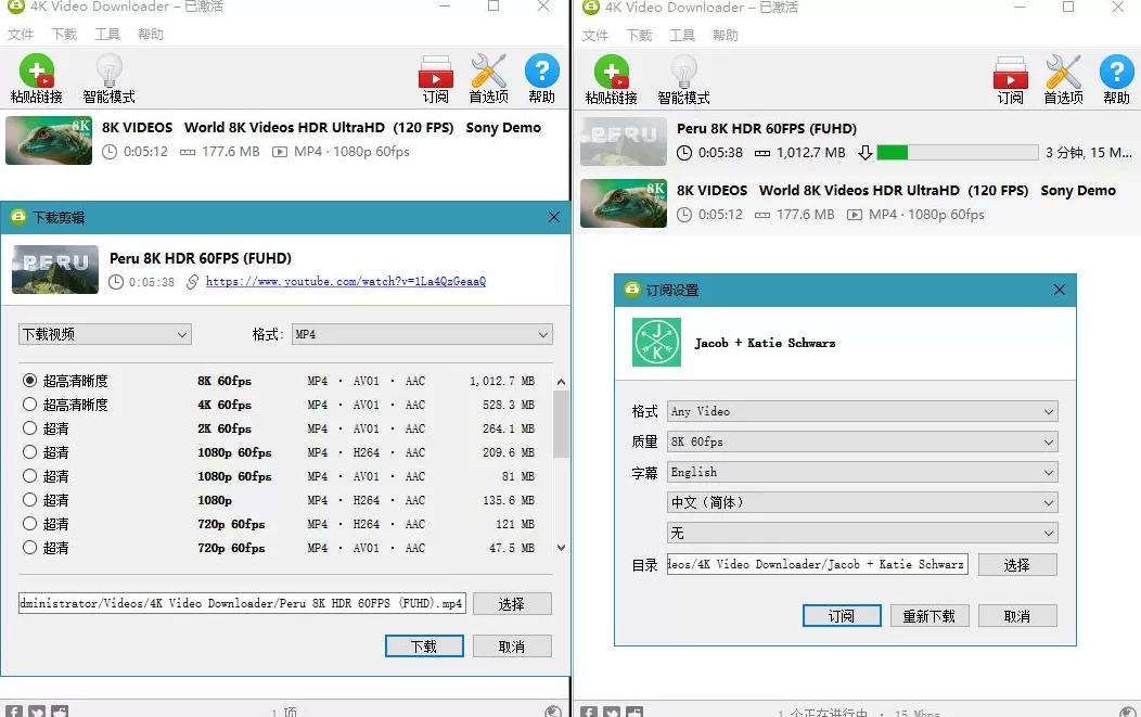 4K Video Downloader v5.18.6/ Plus v25.3.1.0220 中文绿色便携版-星空知