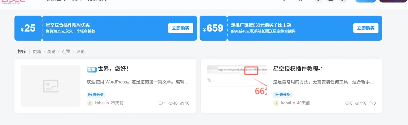 子比主题美化 –同款优惠券样式推广代码-星空知