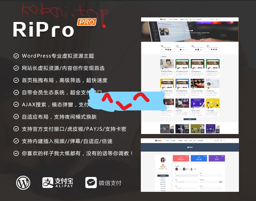 RiPro主题9.0开心版+美化插件-星空知