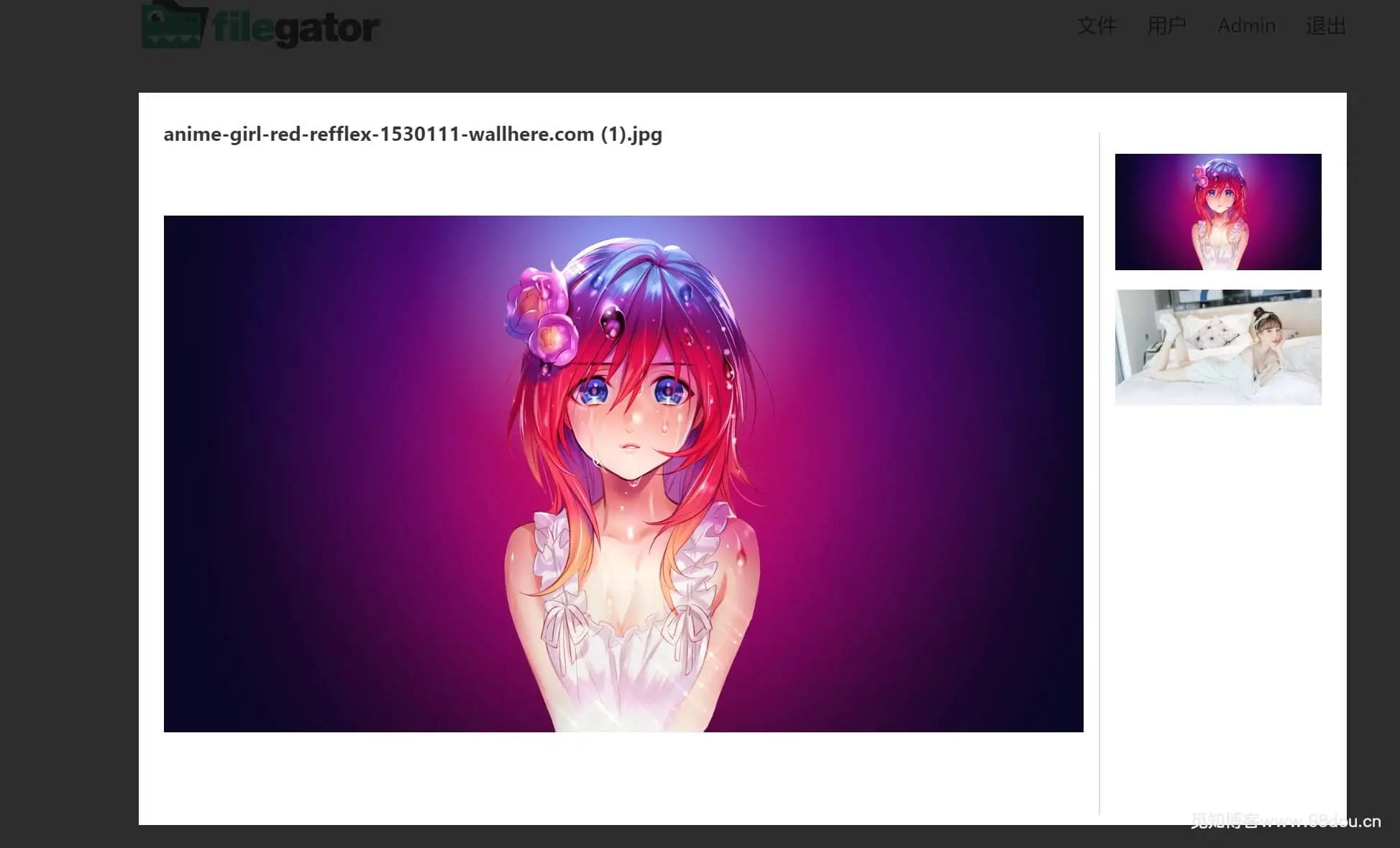 图片[2]-FileGator – 强大的多用户文件管理系统v7.7.0