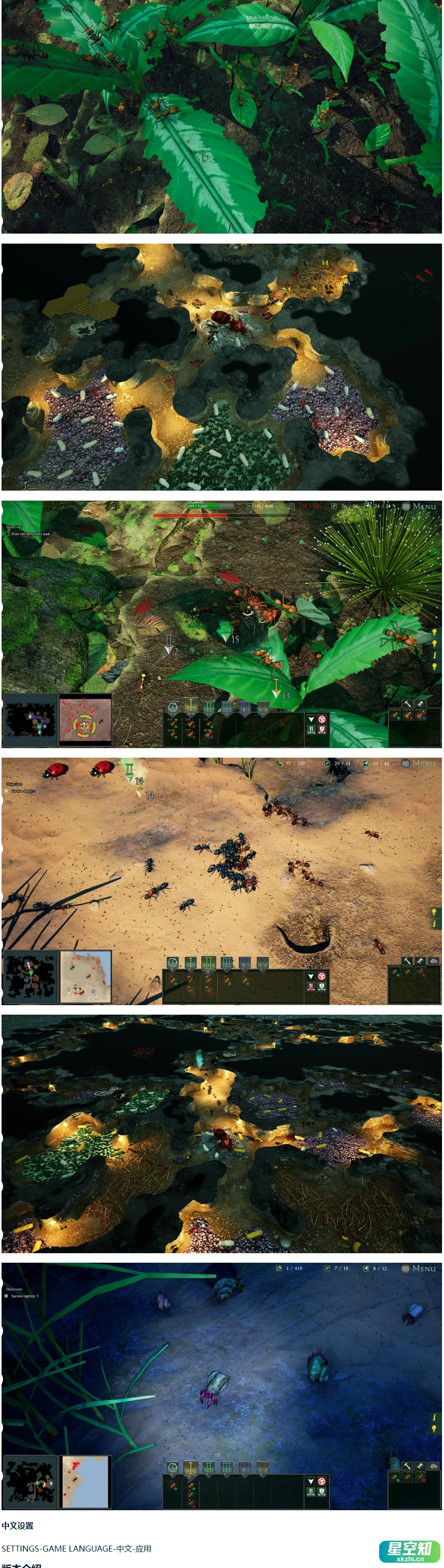 地下蚁国/Empires of the Undergrowth|官方简体中文-星空知