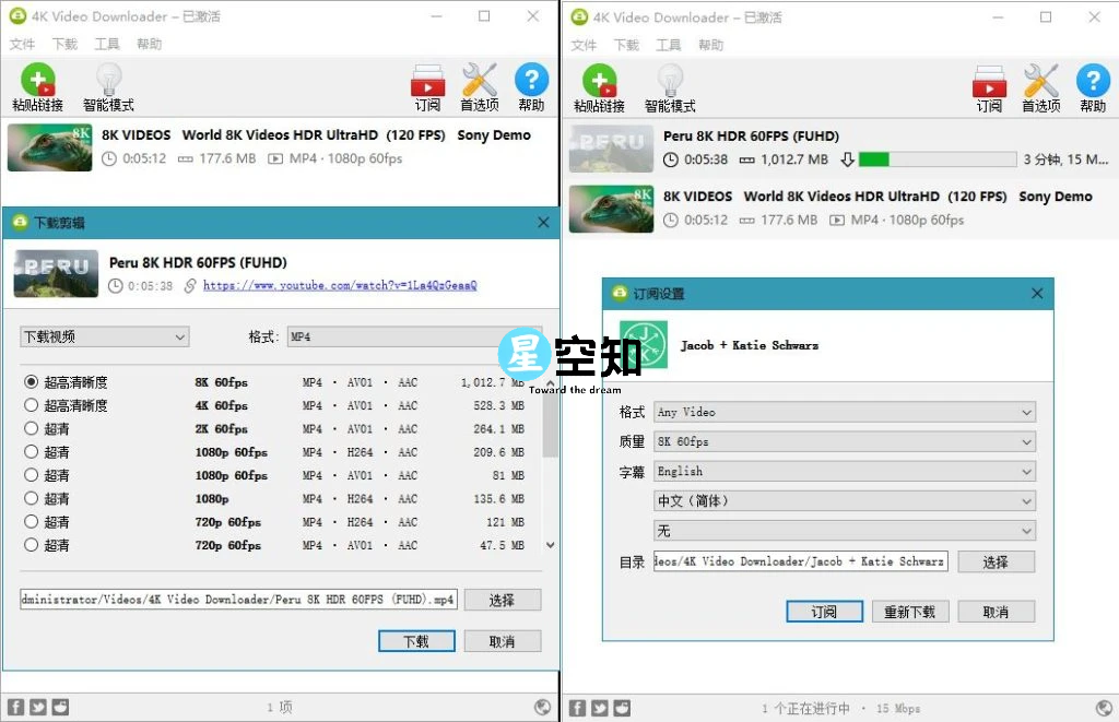 4K Video Downloader v4.32.3.0112/ 1.9.1.0133 plus 中文绿色便携版-星空知